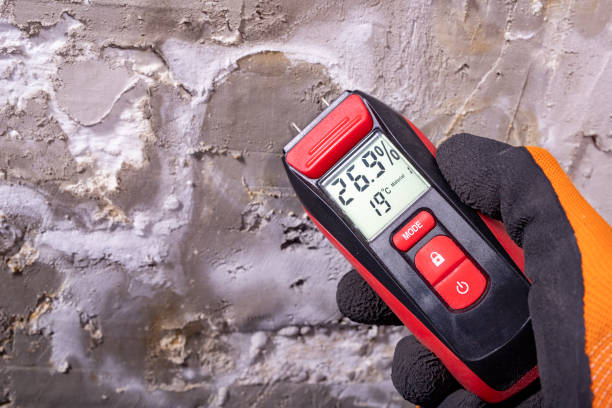 Best Residential Mold Remediation in Duenweg, MO